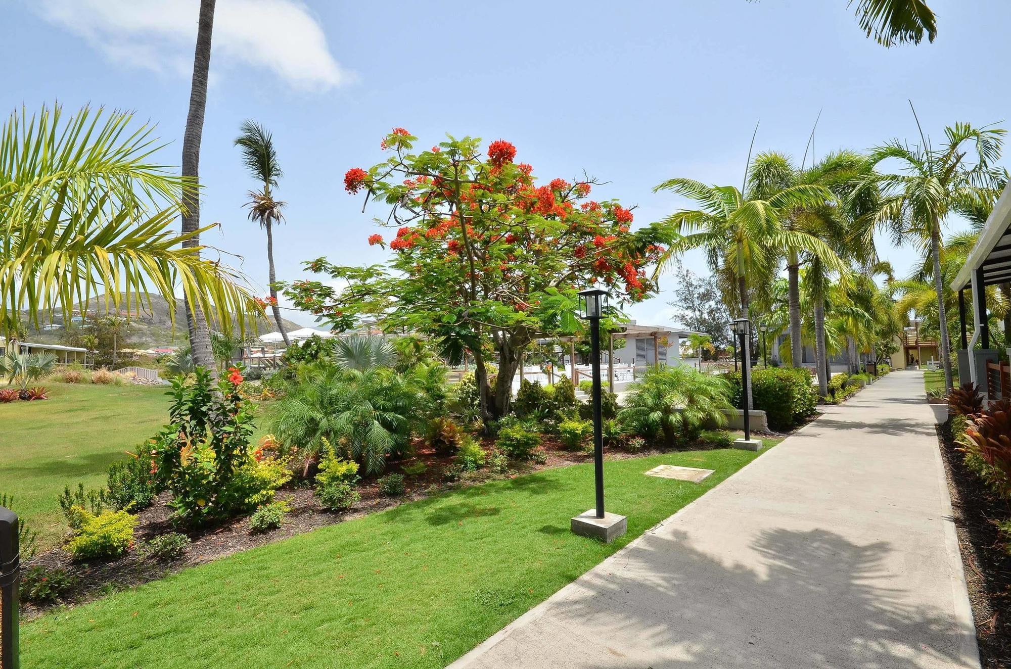 Royal St. Kitts Hotel Frigate Bay Exterior foto
